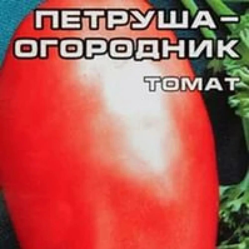 Помидоры огородник описание сорта фото Томат Петруша огородник: характеристика и описание сорта, отзывы дачников с фото