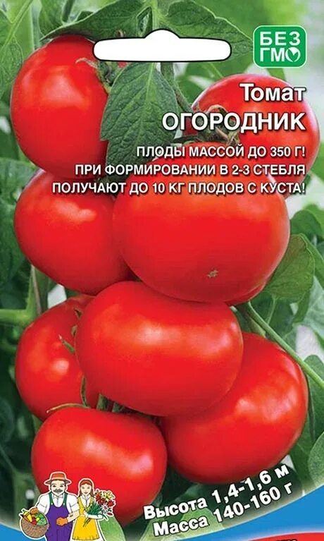 Помидоры огородник описание сорта фото Семена Томат Огородник: описание сорта, фото - купить с доставкой или почтой Рос