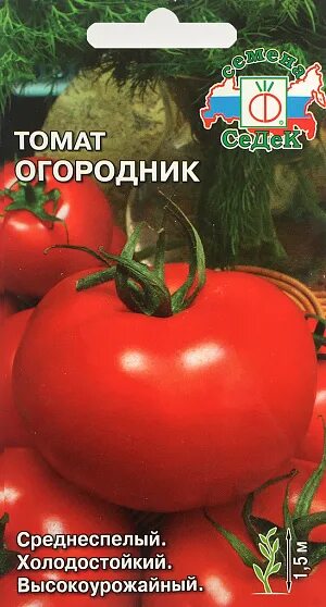 Помидоры огородник описание сорта фото Купить Семена Томат Огородник от Седек, 3127