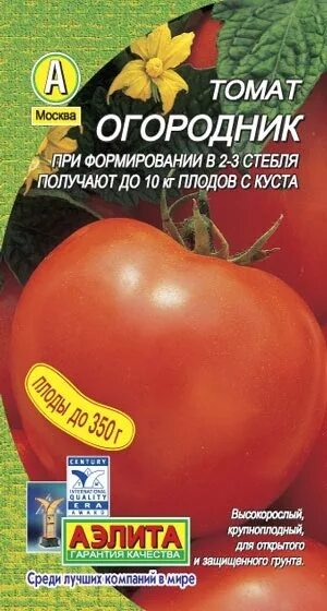 Помидоры огородник описание сорта фото Семена оптом, семена в розницу; лук севок оптом, лук севок в розницу; Семена и С