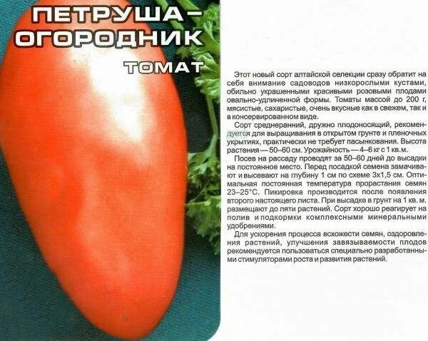 Помидоры огородник описание сорта фото отзывы Томат Петруша огородник: характеристика и описание сорта