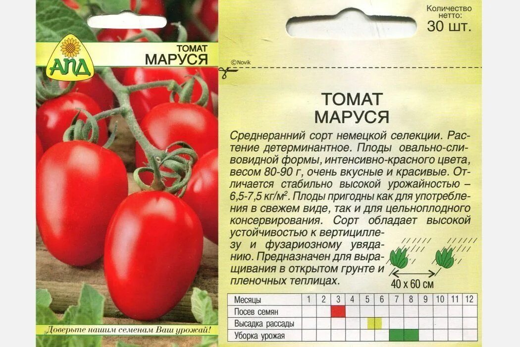 Помидоры описание сорта фото отзывы садоводов Томат Маруся: характеристики сорта, фото, выращивание из семян и рассады, уход и