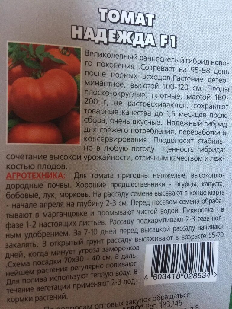 Помидоры озеро надежды описание сорта фото отзывы Семена томата в дар (Москва). Замечания. Дарудар