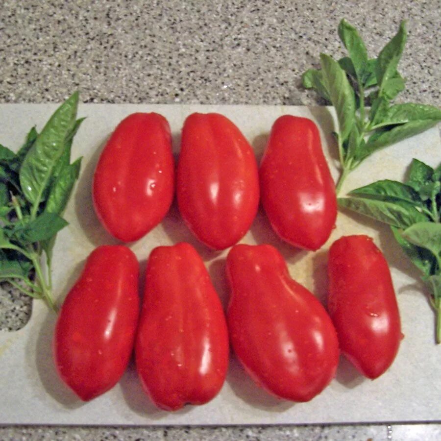 Помидоры пальчики сорта фото Tomato 'San Marzano' Tomato, Garden seeds packets, Tomato seeds