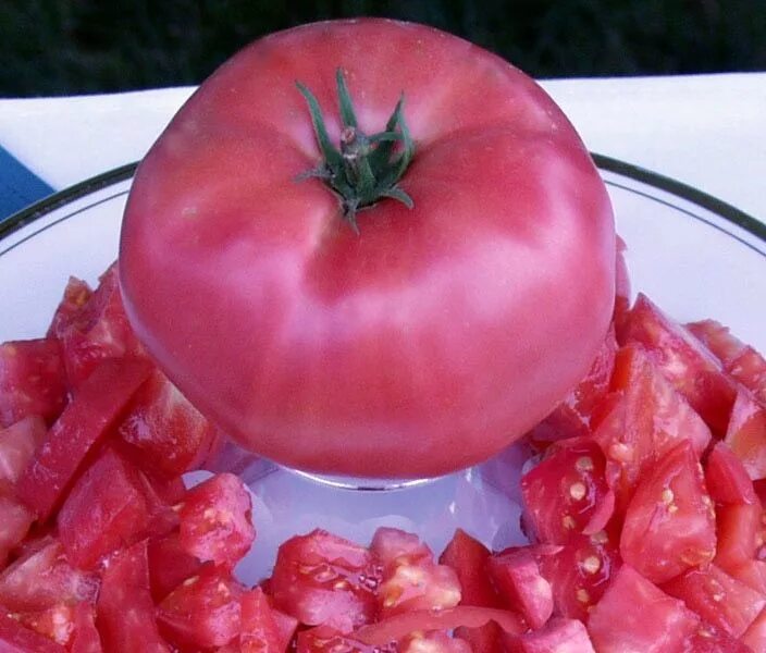 Помидоры парадайз фото и описание Brandywine Heirloom Tomato Seeds-TomatoFest Organic Brandywine heirloom tomato i