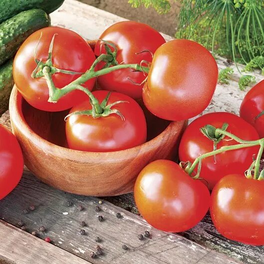 Помидоры пень фото Types of Tomato Plants Garden Design