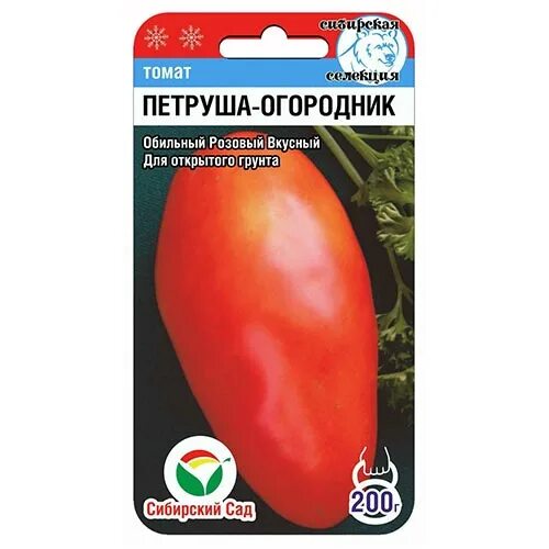 Помидоры петруша описание сорта фото Томат Петруша Огородник Сибирский сад (94413): купить семена почтой в России инт