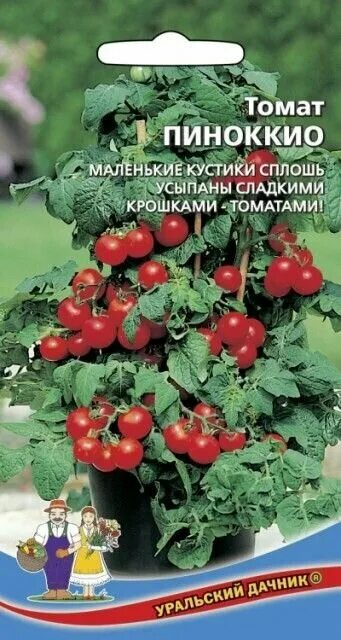 Помидоры пиноккио описание сорта фото Семена помидора пиноккио - купить по низкой цене на Яндекс Маркете