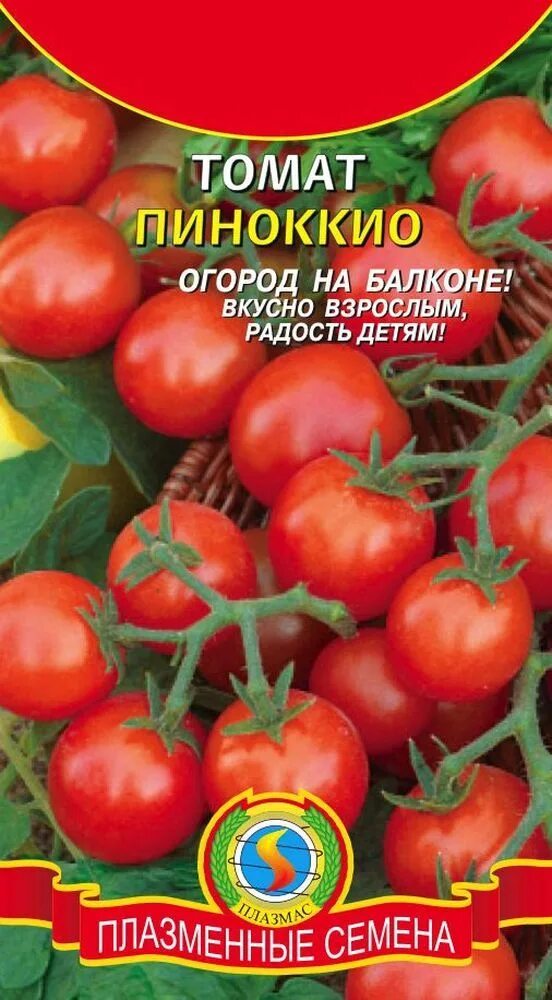 Помидоры пиноккио отзывы фото Томаты Плазменные семена Томат Пиноккио ПС - купить по выгодным ценам в интернет