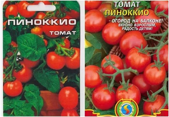 Помидоры пиноккио отзывы фото ✅ Pinocchio tomato: characteristics and description of the variety, cultivation 