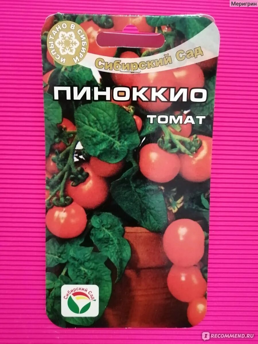 Помидоры пиноккио отзывы фото Томат Пиноккио Сибирский сад - ""Сосновые глаза", "кедровый орешек" - так перево