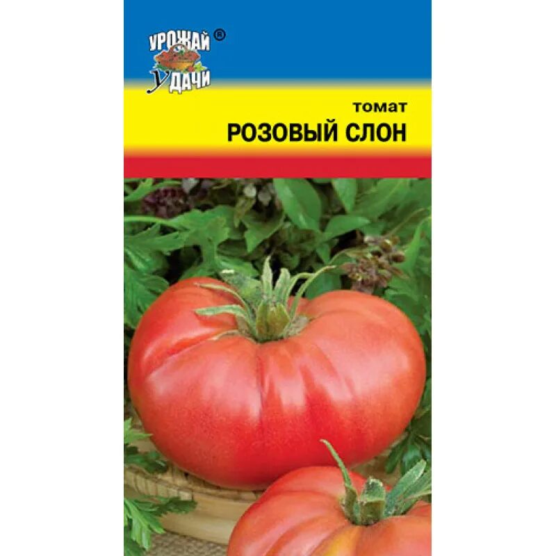 Помидоры розовый слон описание сорта фото Сорт томата розовый слон: найдено 87 картинок