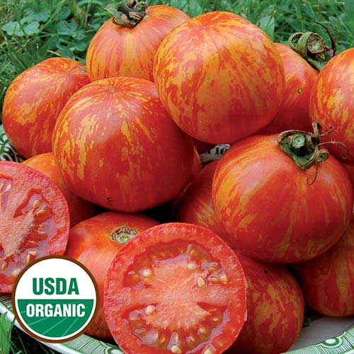 Помидоры рябые сорта фото Red Zebra Tomato Heirloom tomato seeds, Tomato seeds, Heirloom tomatoes varietie