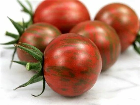 Помидоры рябые сорта фото Purple Bumble Bee Tomato Seeds Free Shipping Etsy Tomato seeds, Seeds, Tomato