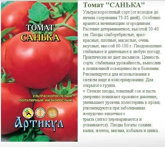 Помидоры санька отзывы фото урожайность Томат Санька: описание сорта, характеристика