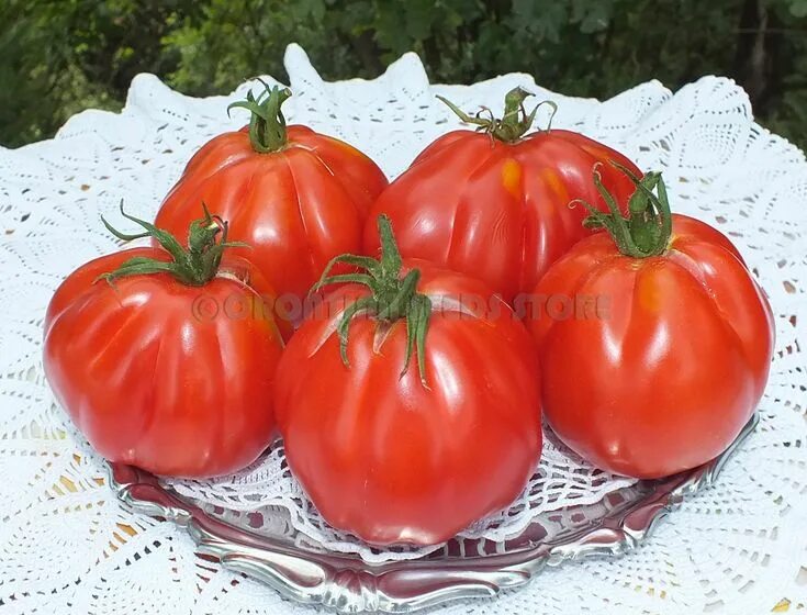 Помидоры сара фото RED FIG ( Inzhir Krasnyi) Tomato Heirloom vegetables, Tomato seeds, Organic seed