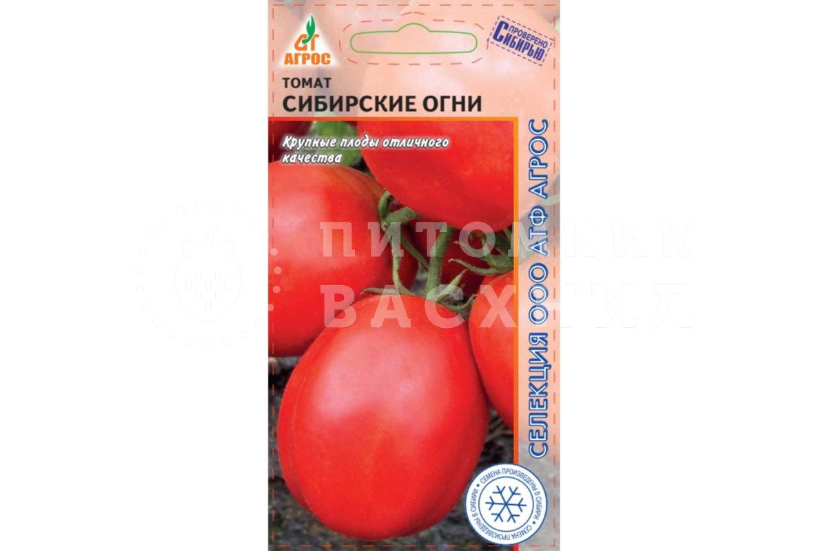 Помидоры сибирские описание сорта фото Семена томата сорт Сибирские огни купить Питомник ВАСХНиЛ
