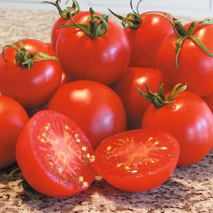 Помидоры скороспелые фото отзывы growing these glacier tomatoes from seed Tomato seeds, Tomato, Heirloom tomatoes