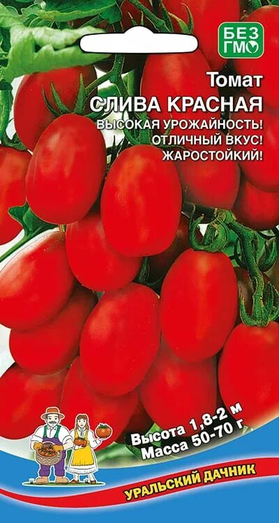 Помидоры слива фото Семена Томат Слива красная (Уральский Дачник) купить в Минске Доставка почтой по