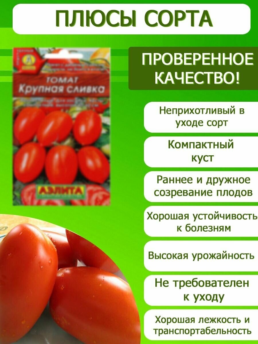 Помидоры сливки отзывы фото Томат Крупная сливка высокоурожайный ранний для открытого грунта идеален для кон