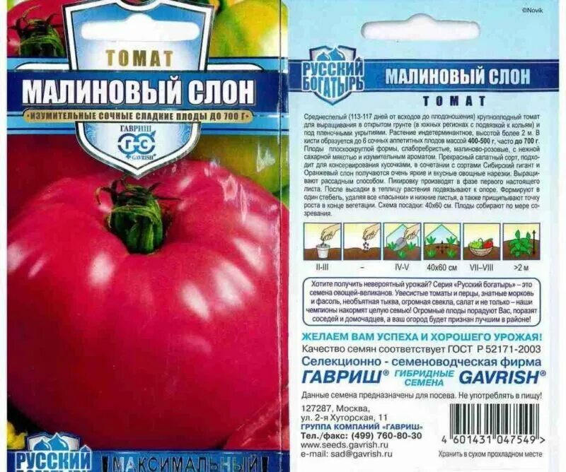 Помидоры слон фото Томаты Малиновый слон: описание сорта. Вкусный урожай для любителей мясистых пом