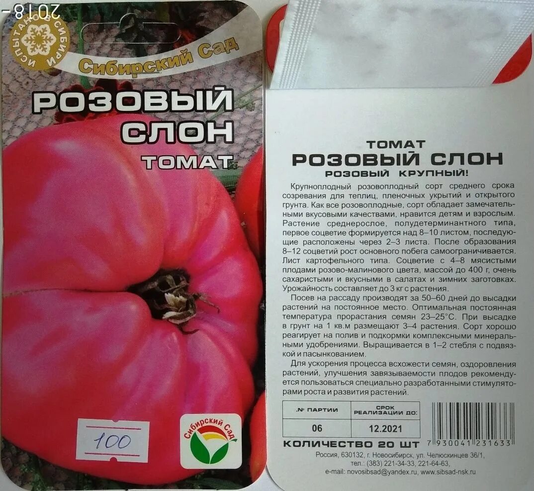 Помидоры слон описание сорта фото отзывы Томат Розовый слон: описание сорта и характеристики, урожайность, отзывы с фото