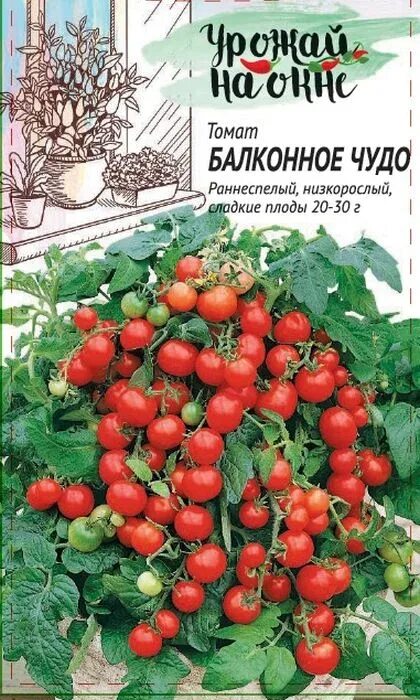 Помидоры сорт балконное чудо отзывы фото Семена Томат Балконное чудо серия Урожай на окне: описание сорта, фото - купить 