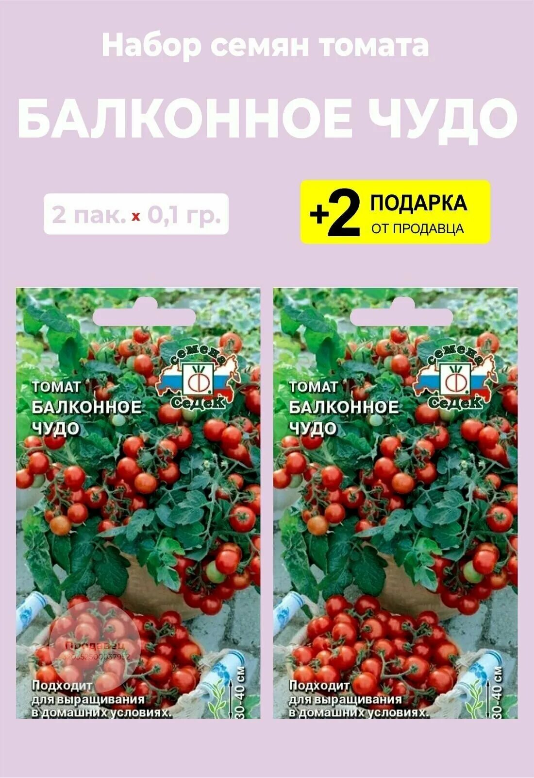 Помидоры сорт балконное чудо отзывы фото Семена Томат "Балконное Чудо", 2 упаковки + 2 Подарка от продавца - купить в инт