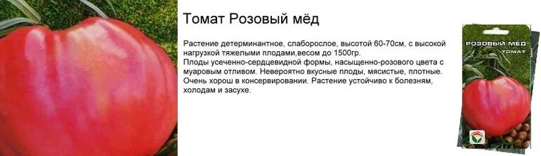 Помидоры сорт розовый мед фото Томат Розовый мед, сажал уже кто? - 27 ответов форум Babyblog