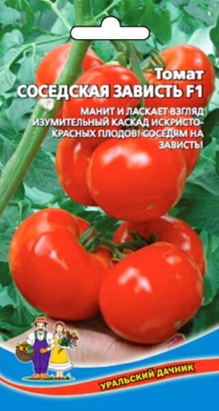 Помидоры сорт соседская зависть отзывы фото Купить Томат "Уральский дачник" Соседская зависть F1 12 сем в Онсад.ру с доставк