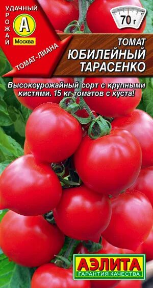 Помидоры сорт тарасенко описание сорта фото Томаты Аэлита индет_Юбилейный Тарасенко - купить по выгодным ценам в интернет-ма