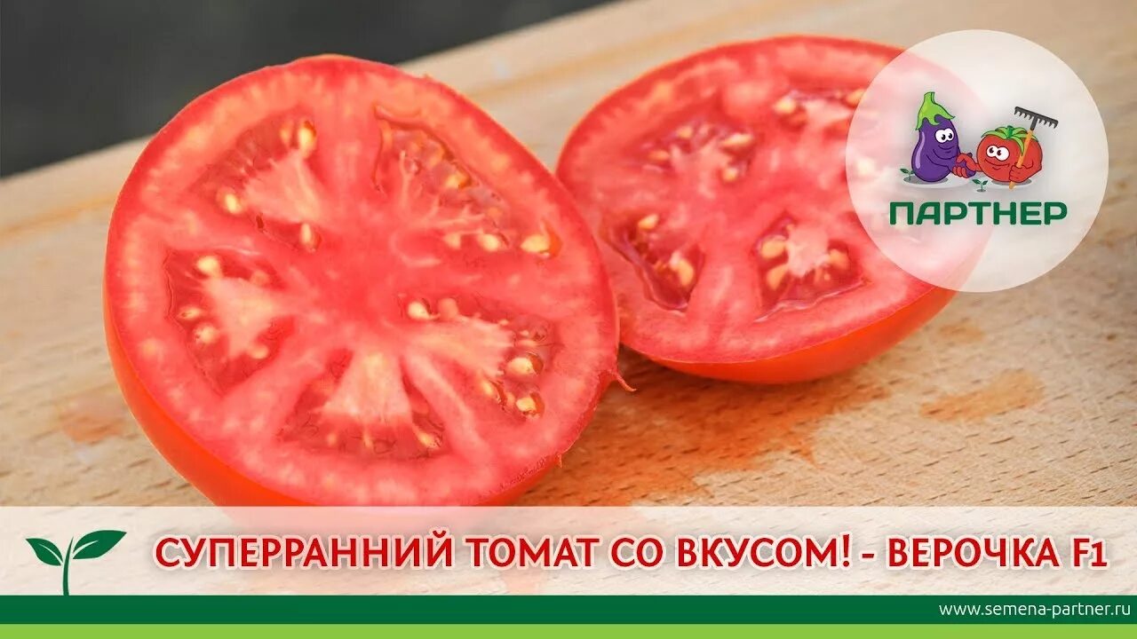 Помидоры сорт верочка описание фото СУПЕРРАННИЙ ТОМАТ СО ВКУСОМ - ВЕРОЧКА F1! - YouTube