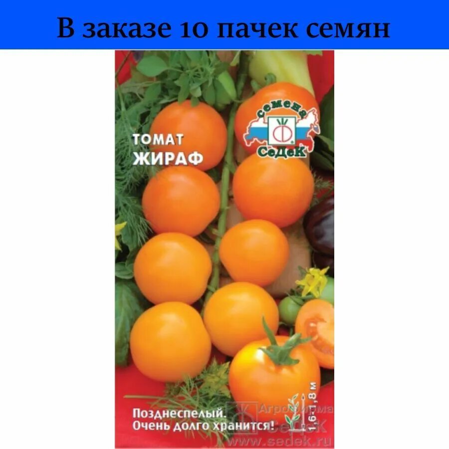 Помидоры сорт жираф фото Томаты koiko 15619071 - купить по выгодным ценам в интернет-магазине OZON