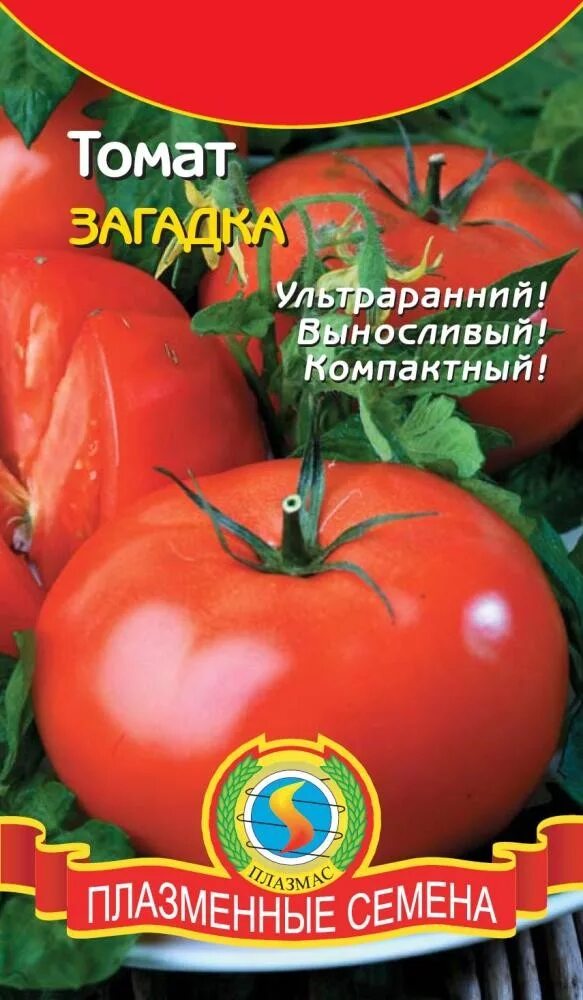 Помидоры сорта загадка фото Томат Загадка - с бесплатной доставкой можно купить в интернет магазине семян