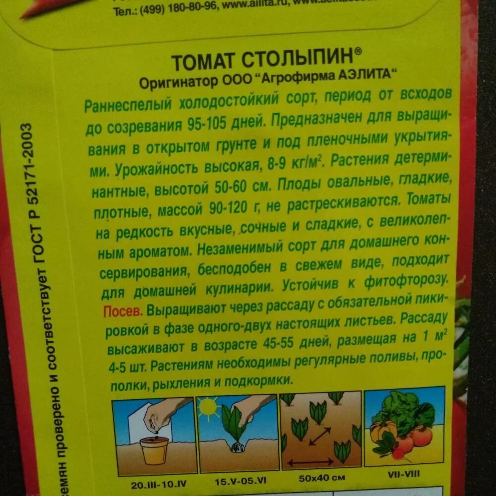 Помидоры столыпин описание сорта фото отзывы Томат столыпин характеристика и описание сорта фото отзывы урожайность Фитостуди