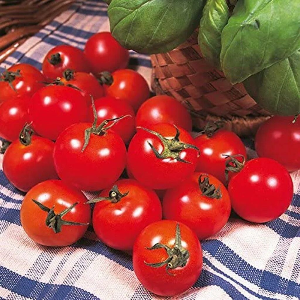 Помидоры сюрприз фото Tomato Seeds Varieties Vegetable Grow Your Own Kings Garden Treasure Fothergills