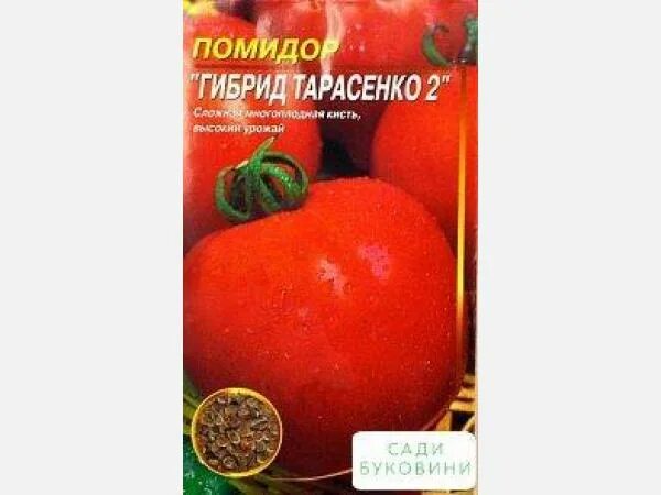 Помидоры тарасенко отзывы фото Купити Томат 'Гибрид Тарасенко 2' ТМ 'Весна' 0.1г в Чернівецька область за Товар