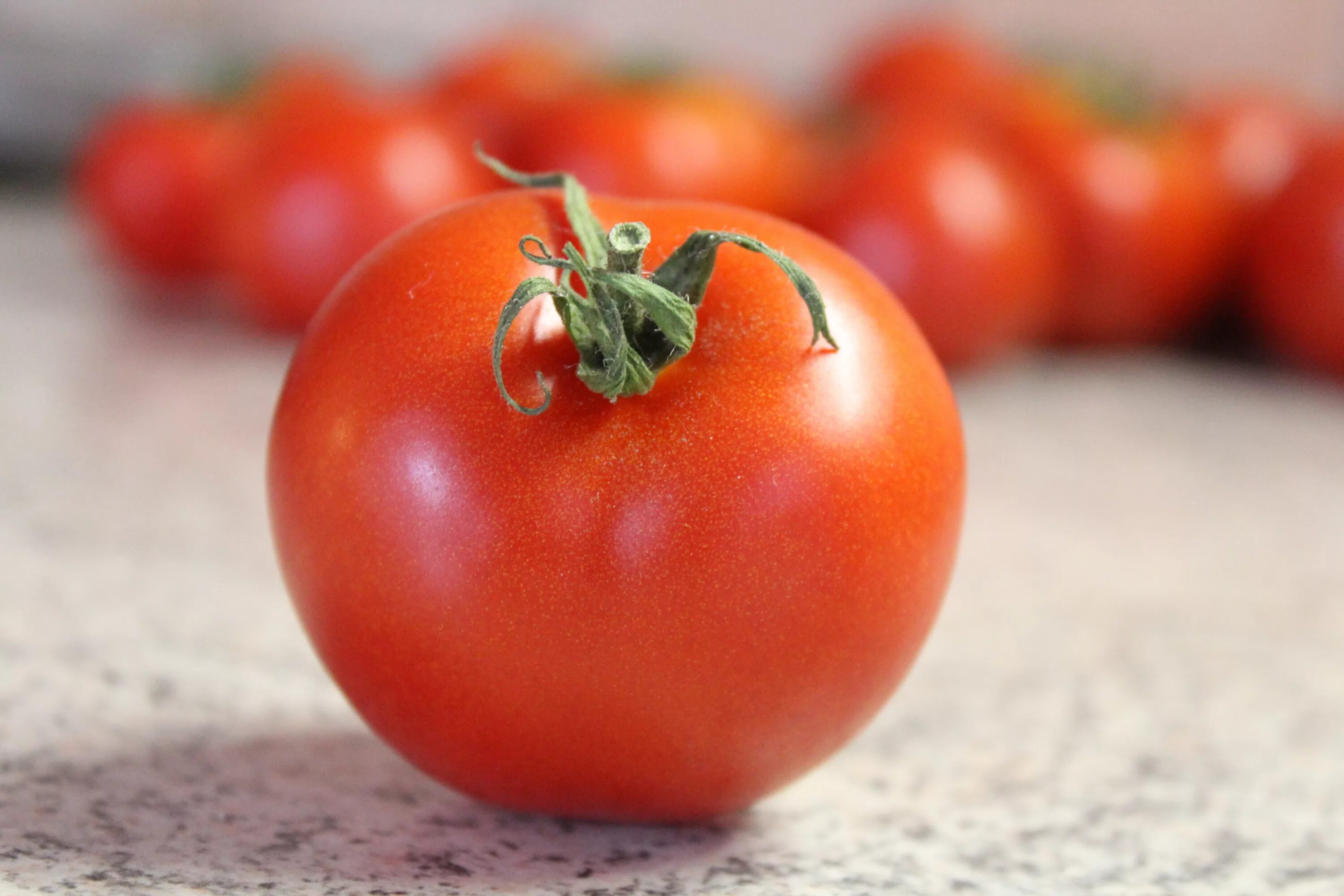 Помидоры тести фото Free Images : fruit, ripe, food, red, harvest, produce, vegetable, healthy, vege