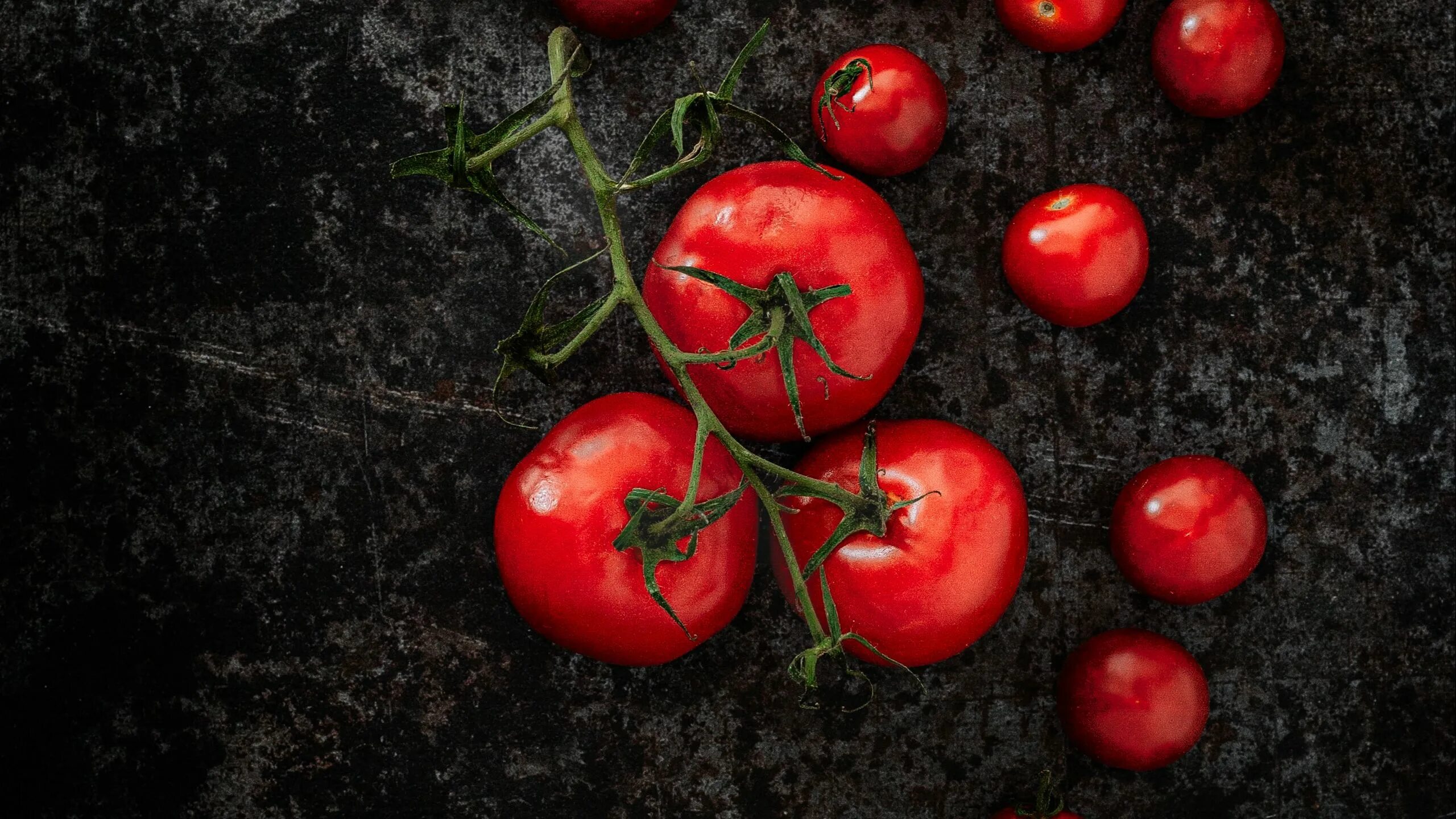 Помидоры тести фото Download wallpaper 2560x1440 tomatoes, vegetables, branch, surface widescreen 16