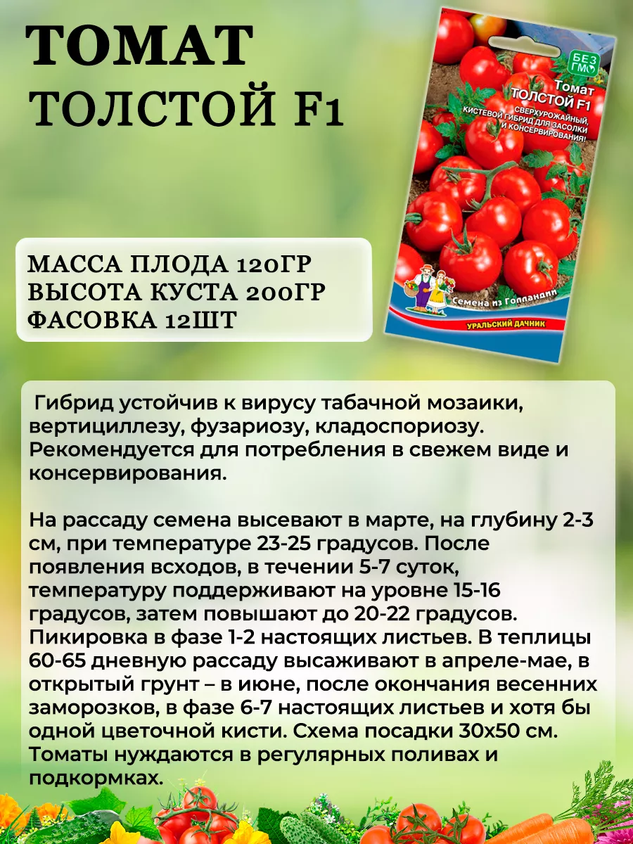 Помидоры толстой описание сорта фото отзывы Томат Толстой F1 описание сорта, фото, отзывы - FermaLive.ru