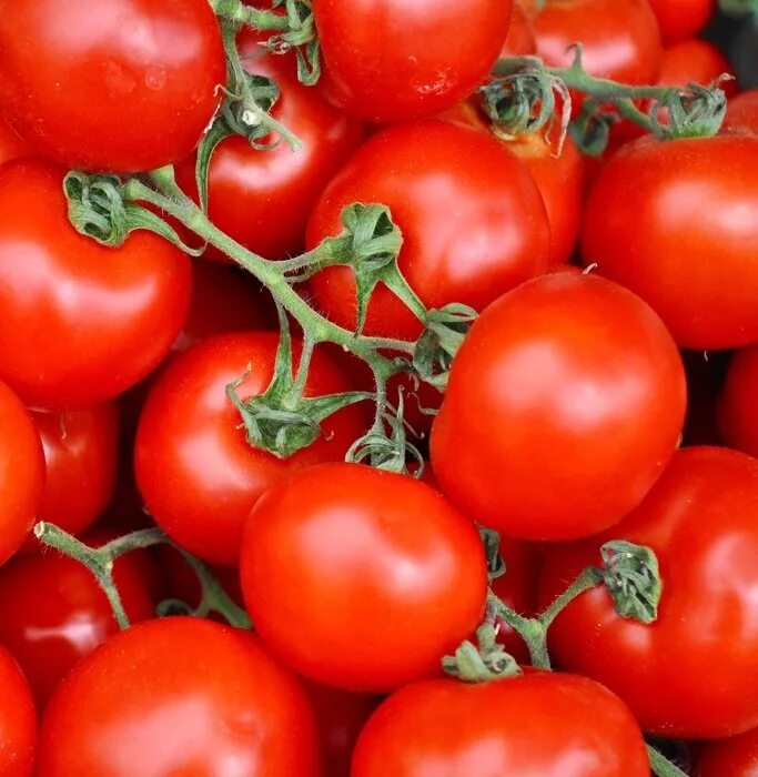 Помидоры томаты фото Mediterranean bright tomatoes free image download