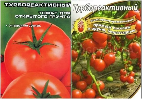 Помидоры турбореактивный описание фото ✅ Детермінантний і індетермінатний сорт помідорів: що це таке, які краще