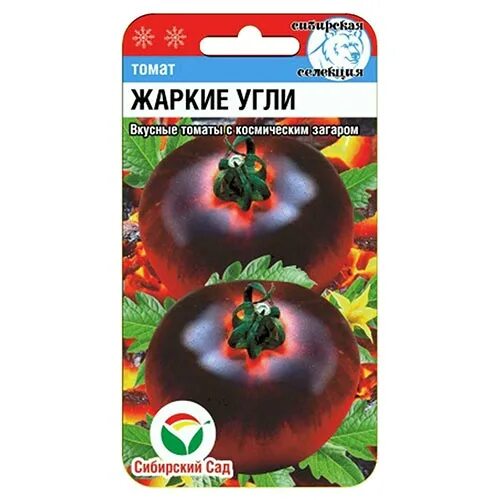 Помидоры уголек описание сорта фото Томат Жаркие угли Сибирский сад (94405): купить семена почтой в России интернет-