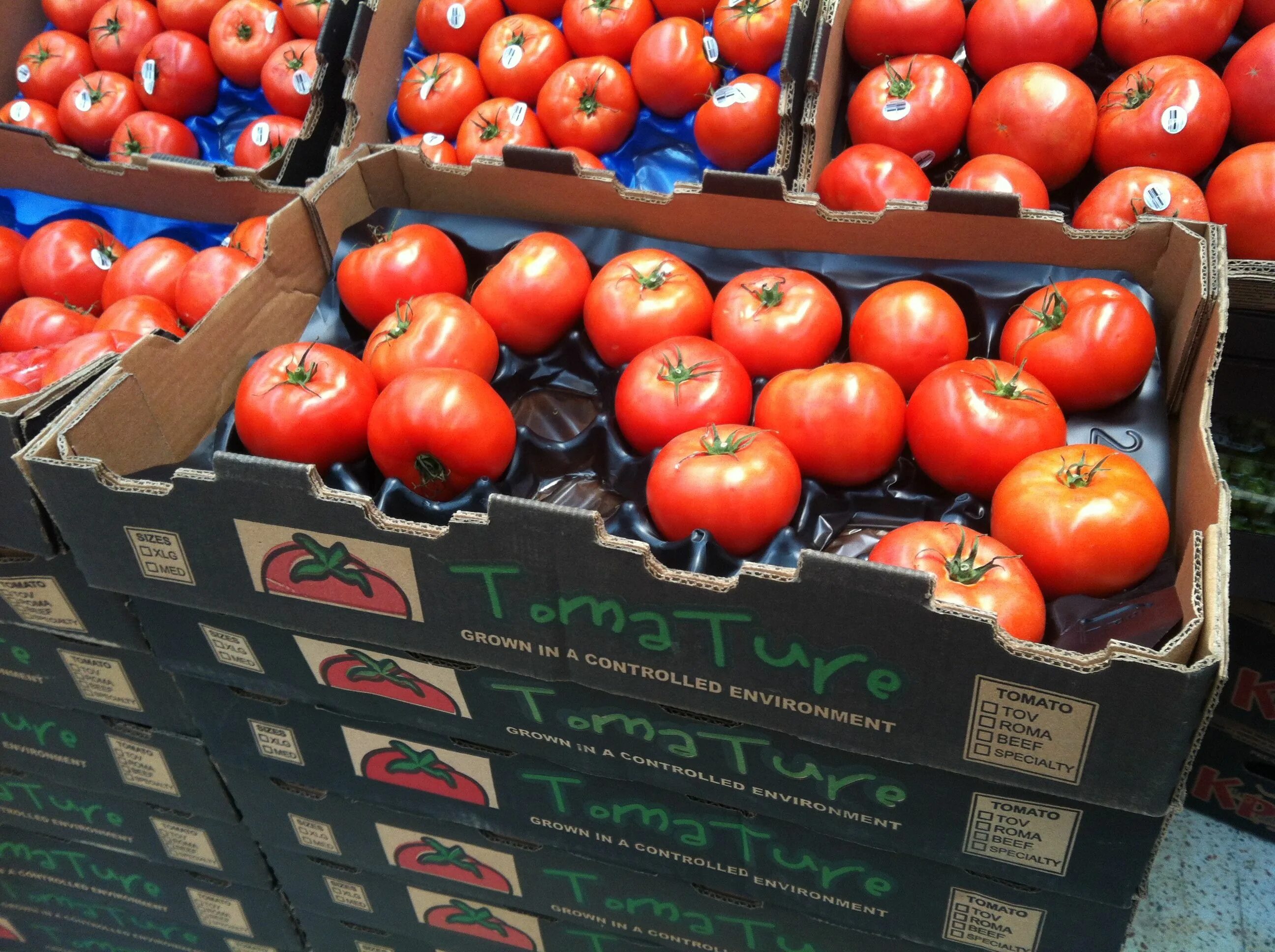 Помидоры в коробке фото Tomato corrugated paper box Tomato, Corrugated paper, Industrial packaging