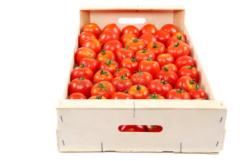 Помидоры в коробке фото Fresh Red Tomato in the Drops of Water in a Wooden Box. Stock Photo - Image of a