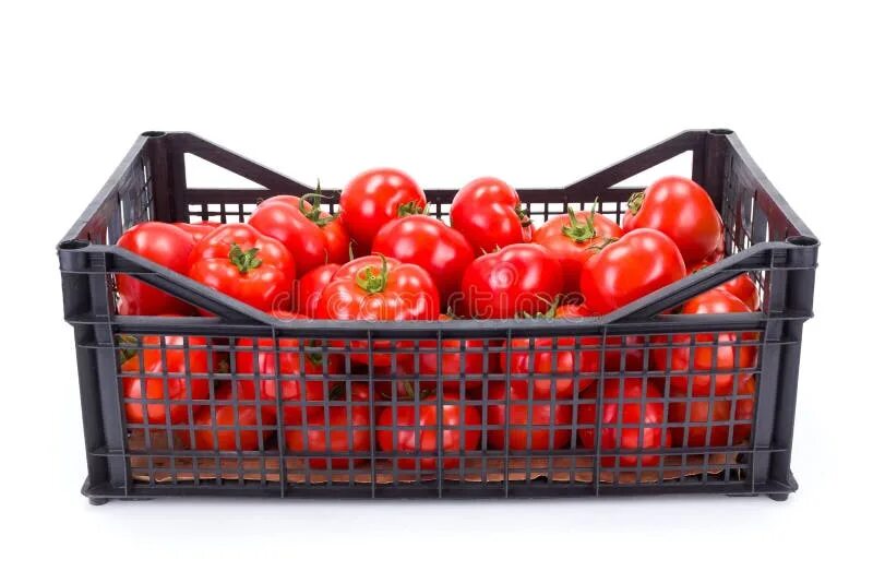 Помидоры в ящике фото Tomatoes (Solanum Lycopersicum) in Plastic Crate Stock Photo - Image of harveste