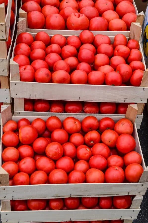 Помидоры в ящике фото Tomato in crates stock photo. Image of crate, pile, food - 34518560