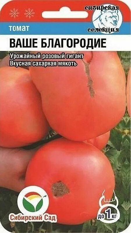 Помидоры ваше благородие описание сорта фото Семена Томат Ваше благородие: описание сорта, фото - купить с доставкой или почт