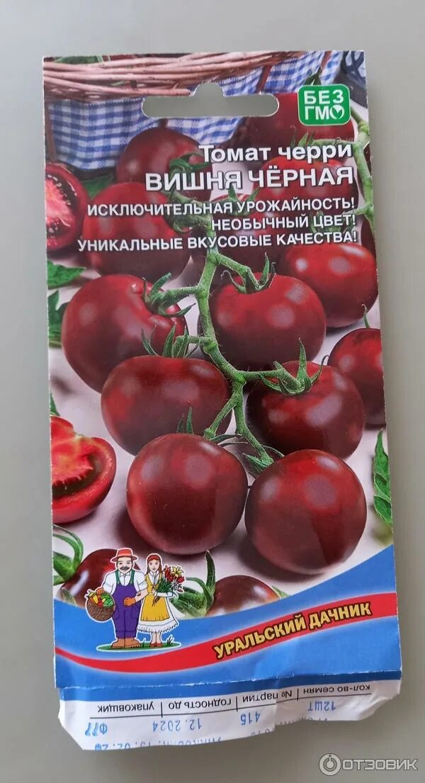 Помидоры вишня в шоколаде фото Отзыв о Семена томата черри Уральский дачник Сортсемовощ "Вишня черная" с хороше