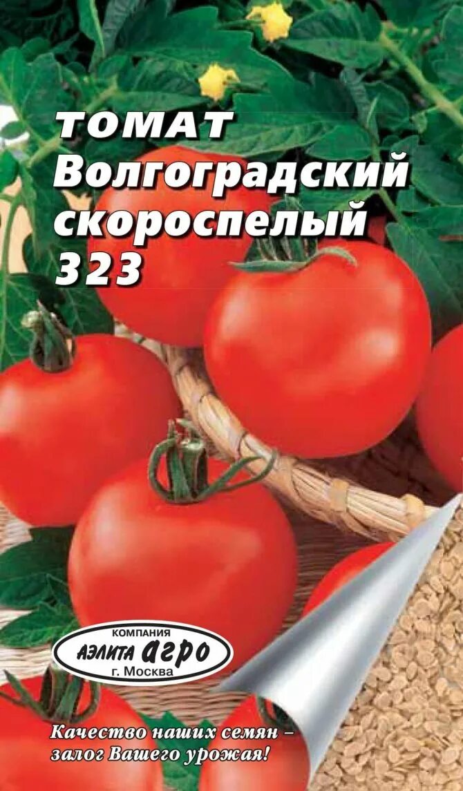 Помидоры волгоградские описание сорта фото Выращиваем ранний томат "Волгоградский Скороспелый 323": особенности и фото сорт